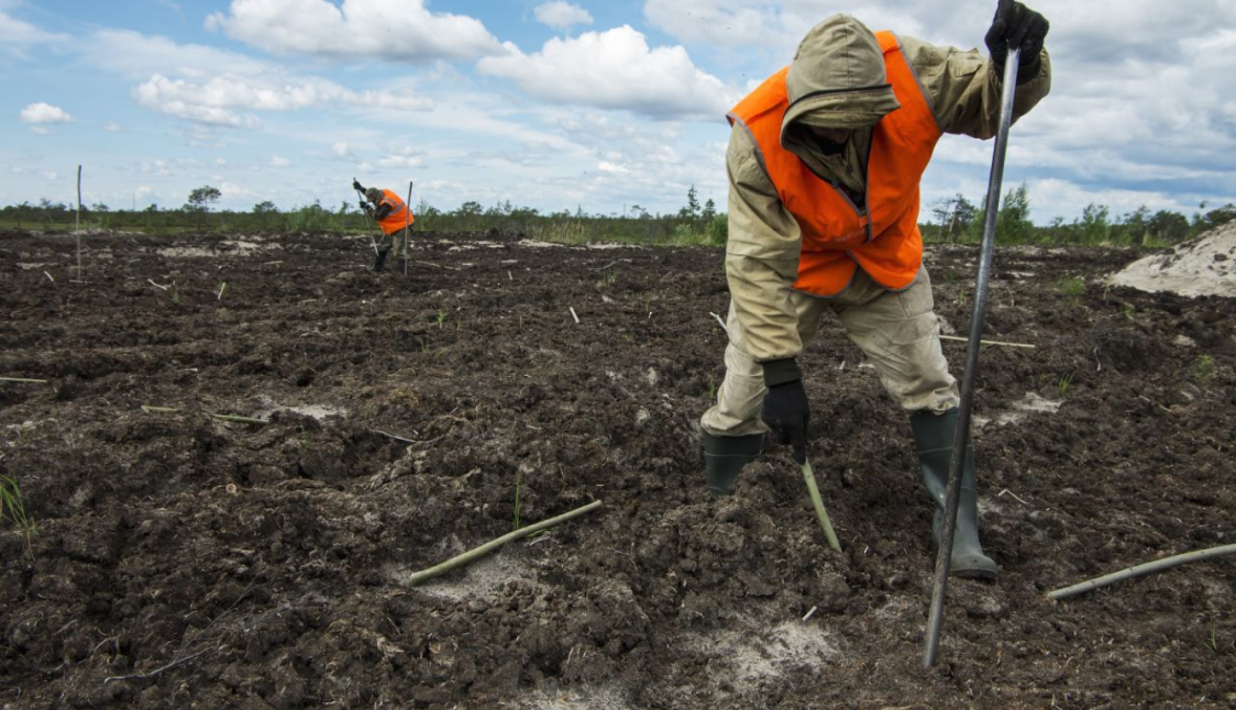    © «ЭкоЭкспертГрупп»