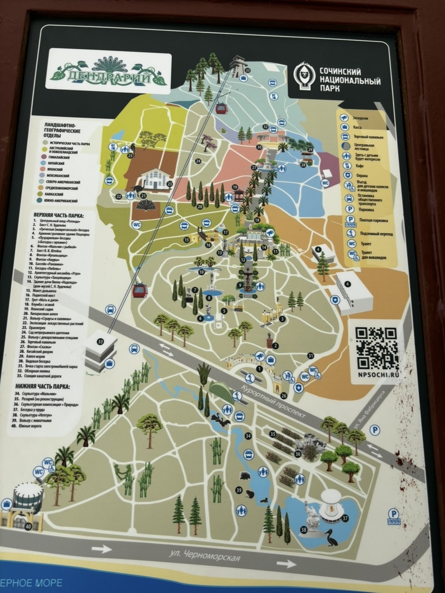 Фото автора . Схема Дендрария в Сочи
