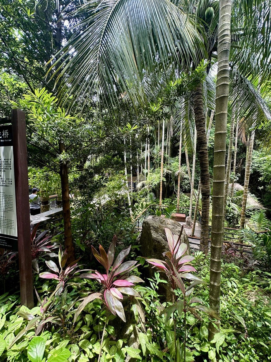 Листайте фотографии ->