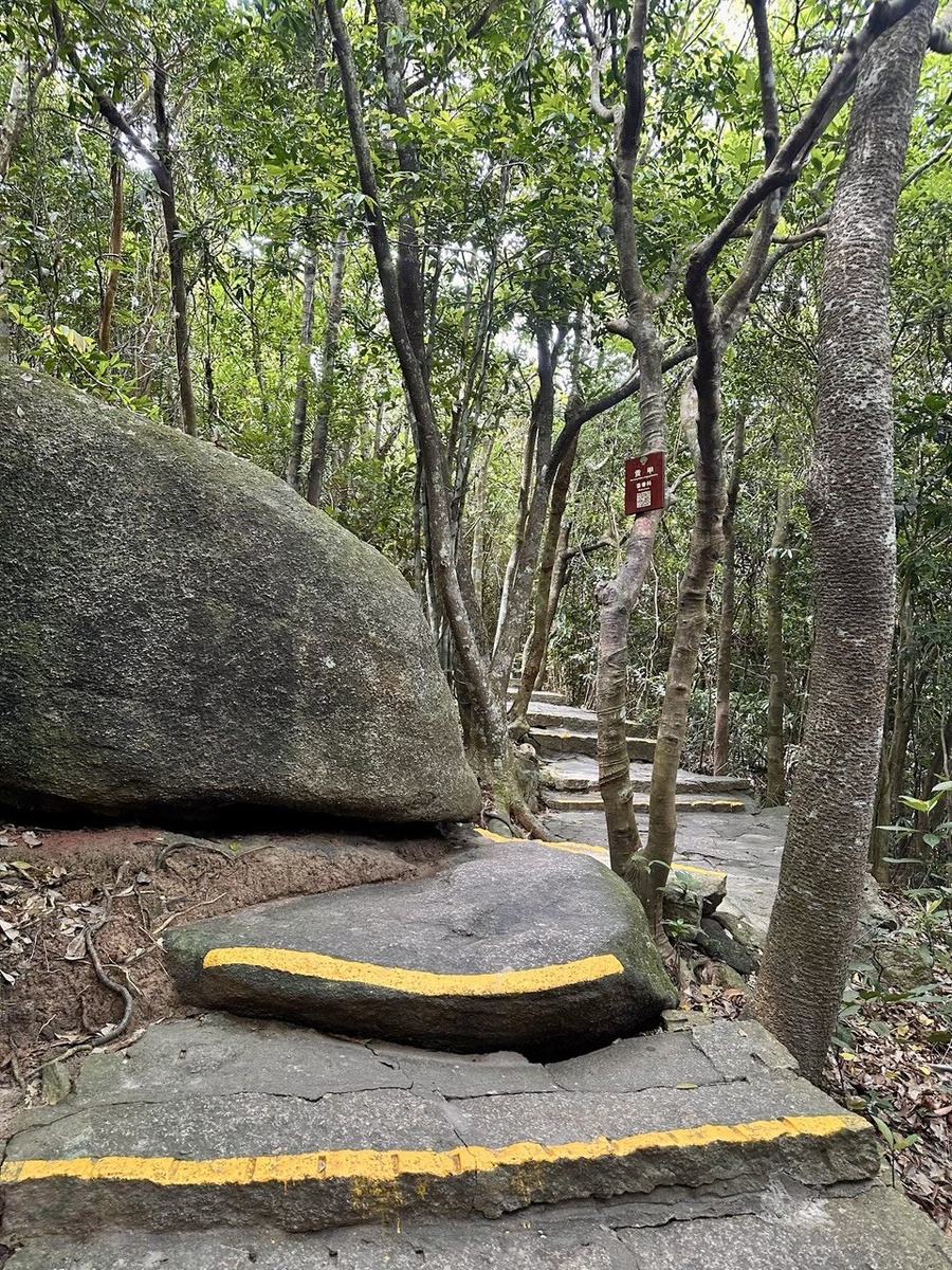 Листайте галерею ->