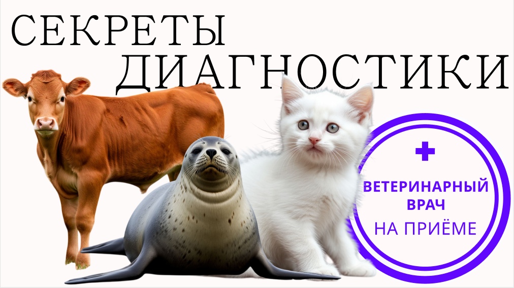 Как животным устанавливают диагноз