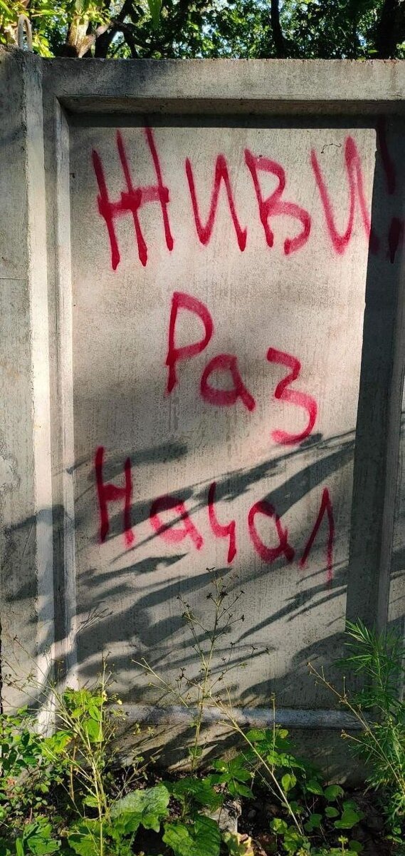 Живи, раз начал