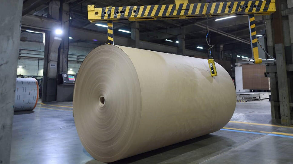 Фото: Telegram-канал главы Адыгеи Мурата Кумпилова