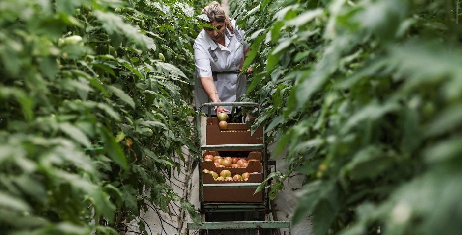 Фото: Михаил Синицын/ТАСС