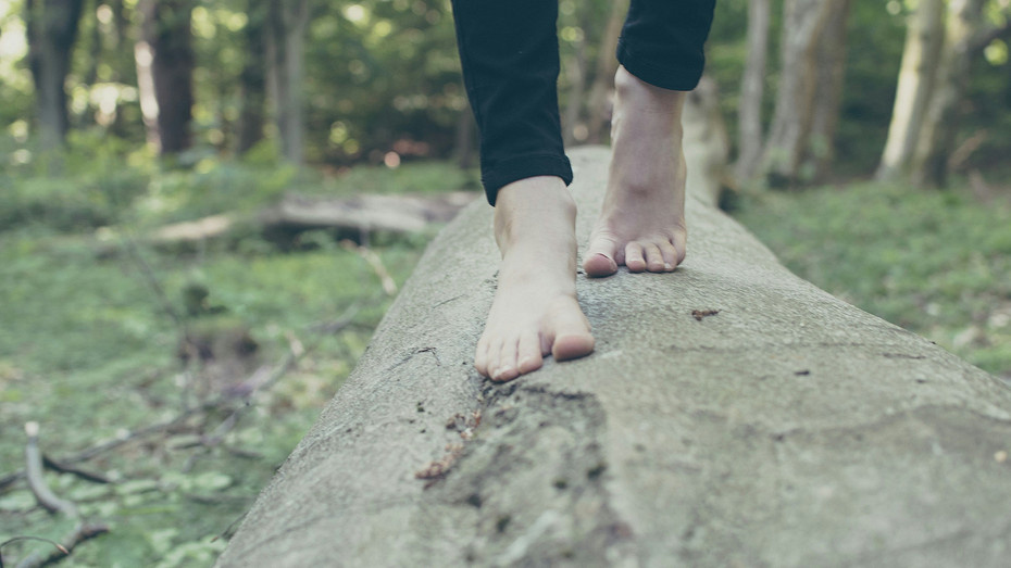     Источник здесь и далее: unsplash.com