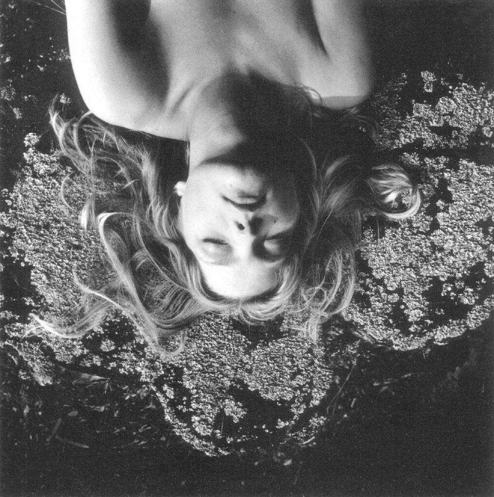 ФОТО ИЗ СЕРИИ " ЦВЕТЫ СРЕДИ ЦВЕТОВ " ОТ ФОТОГРАФА РИМАНТАСА ДИХАВИЧЮСА / Rimantas Dichavičius