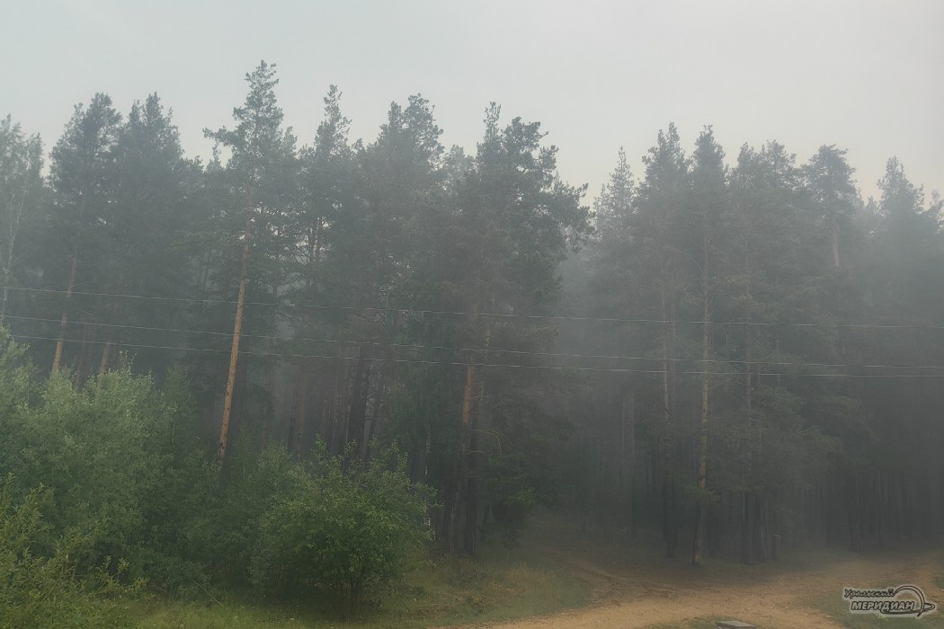    Фото: Лидия Аникина © ИА «Уральский меридиан»