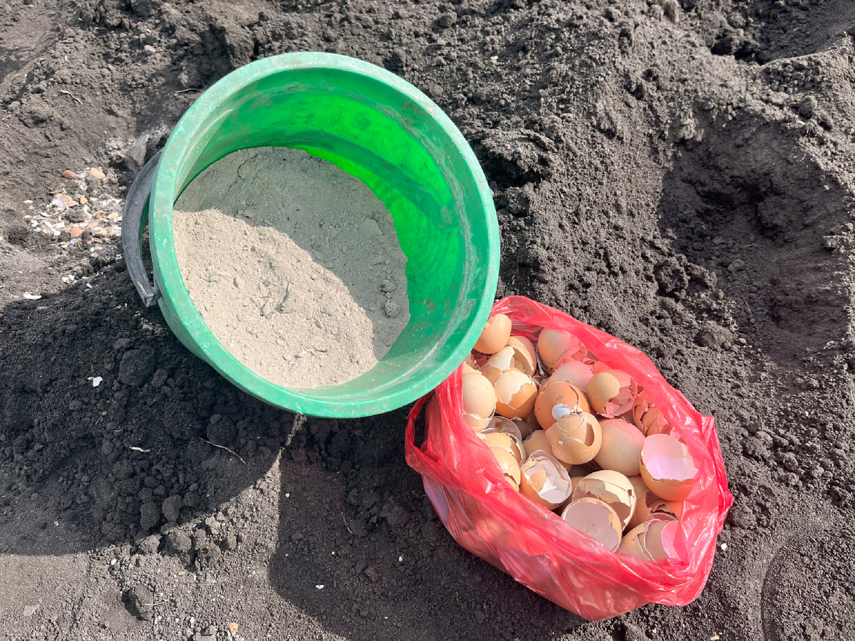 Древесная зола и яичная скорлупа