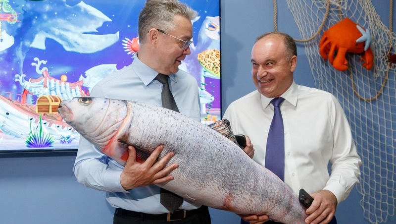      Фото: Дмитрий Ахмадуллин / / ИА «Победа26»