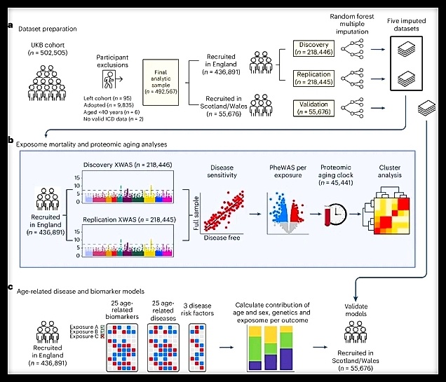 Источник: nature.com/nm