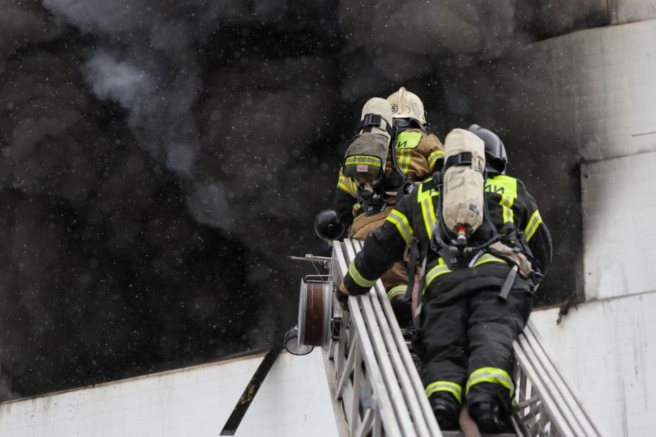    Алексей Белкин/NEWS.ru