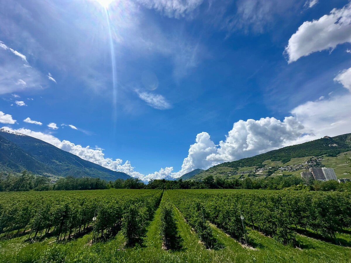 Фото из авторского архива