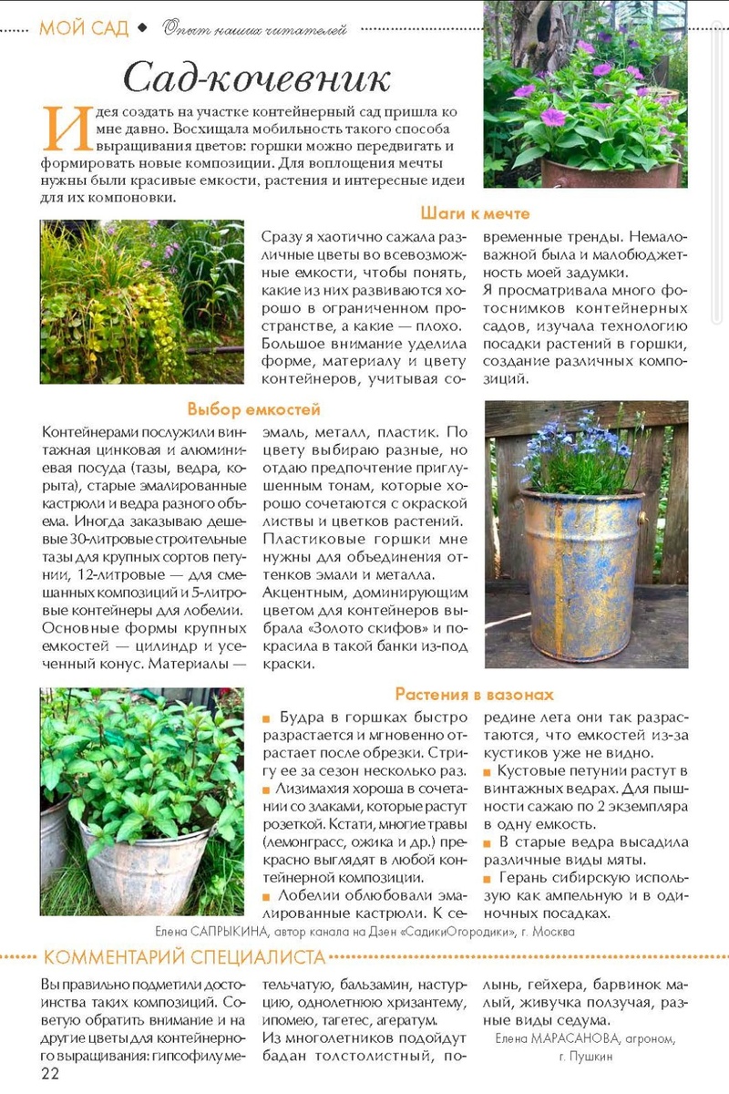 Статья в журнале "Цветок",  номер 23 за 2025 год