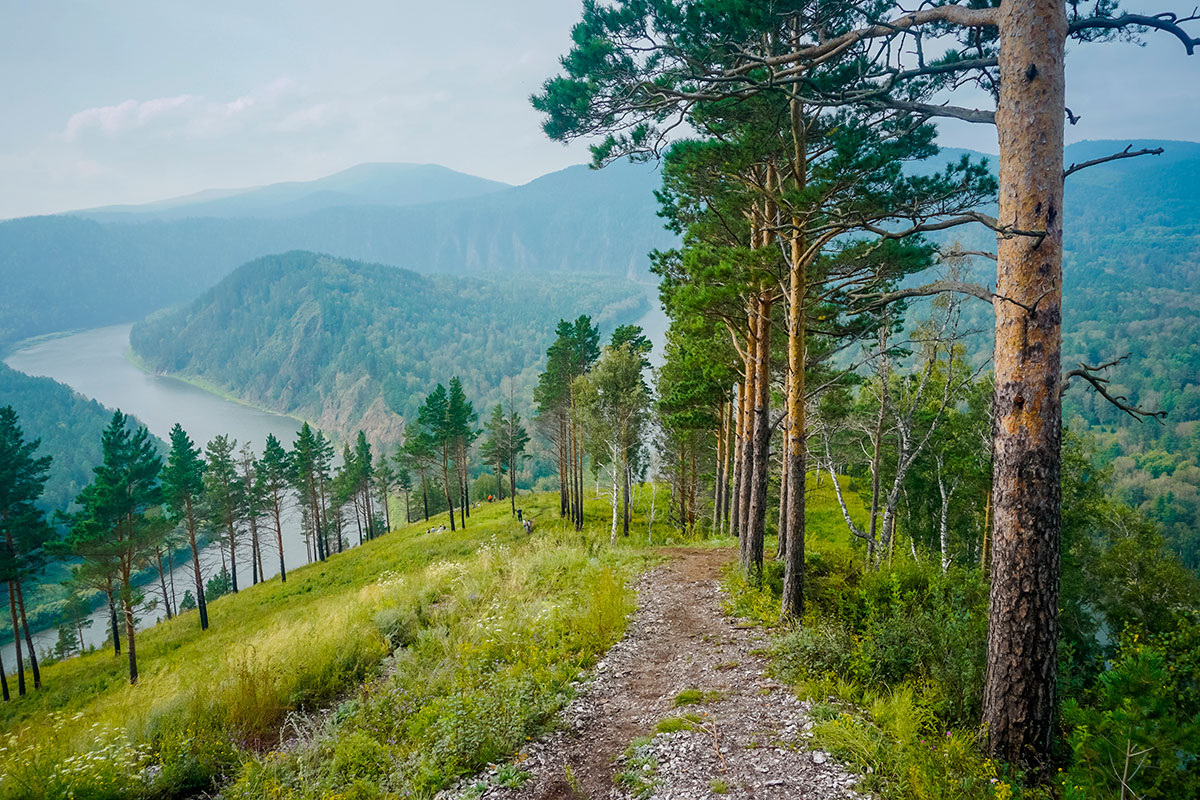    Фото: paha1205 / Shutterstock.com