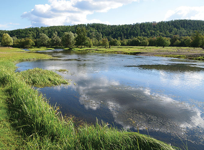 Река Большой Кизил, правый приток Урала, село Рыскужино (Башкортостан). Вот прямо тут и выловили голотип уральского пескаря.

