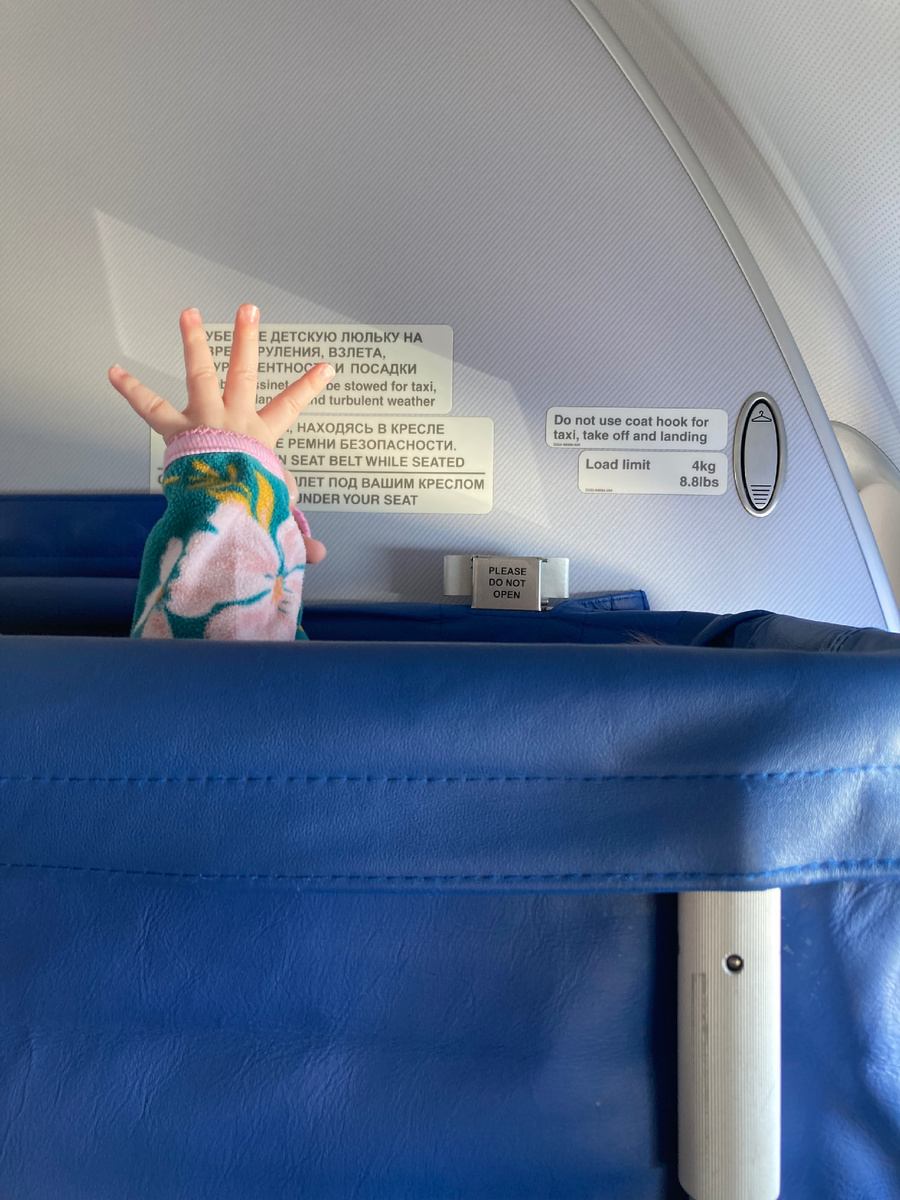 Люлька доступна для пассажиров, сидящих перед перегородкой, отделяющей бизнес-класс от эконома (эти места можно попросить при регистрации). Крепится люлька прямо на перегородку и представляет собой своего рода узкую прямоугольную корзинку из экокожи.