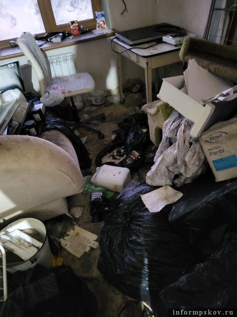 Условия в квартире. Фото здесь и далее: группа «Котопритон Псков 2025 год» в соцсети «ВКонтакте»