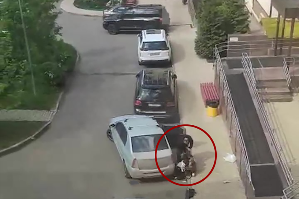 Фото: стоп-кадр