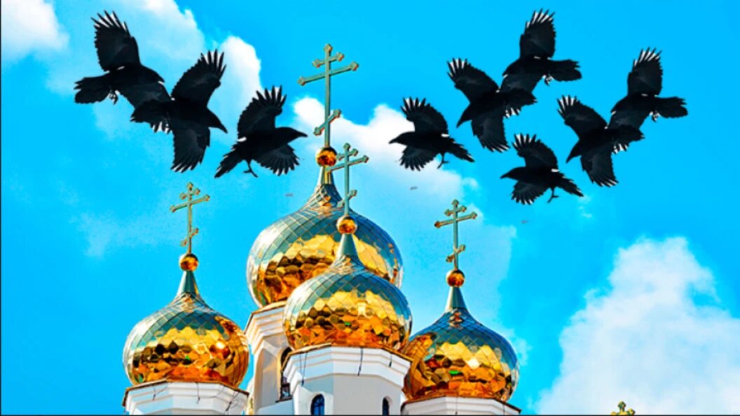    ФОТО: SHUTTERSTOCK