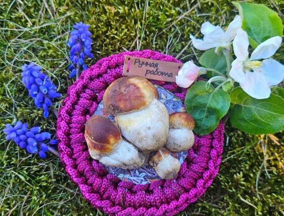 Апрельский улов боровичков
Фото: Анна Пшеницына