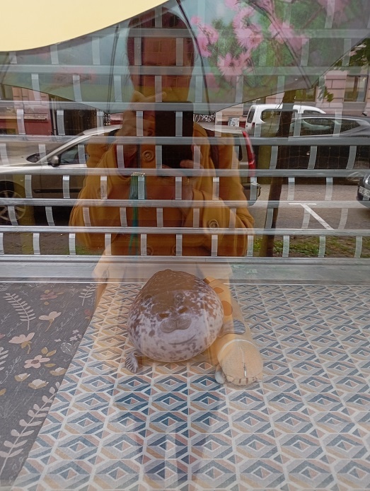 Рига, 17 мая 2025