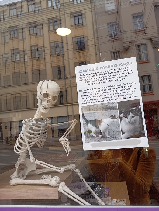 Рига, 17 мая 2025