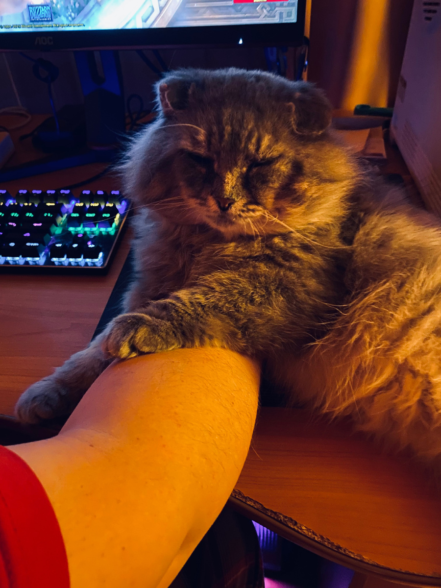 Хозяин, ты там проследи, что Младшая Кошь пишет!