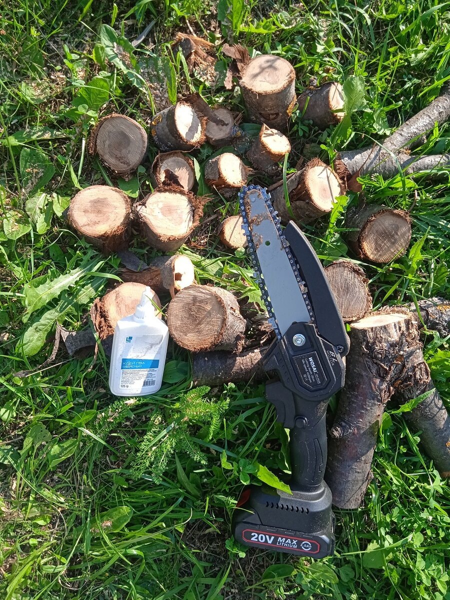 Напилил заготовки для холодного копчения