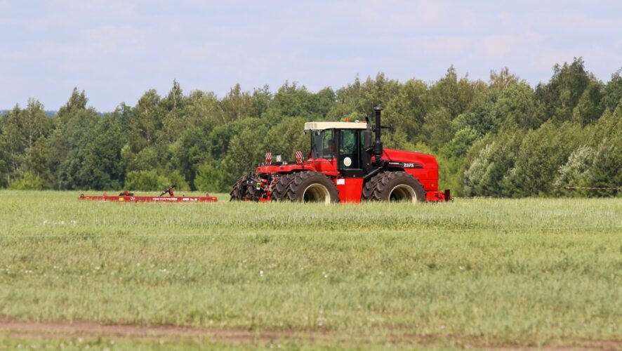    Фото: KazanFirst