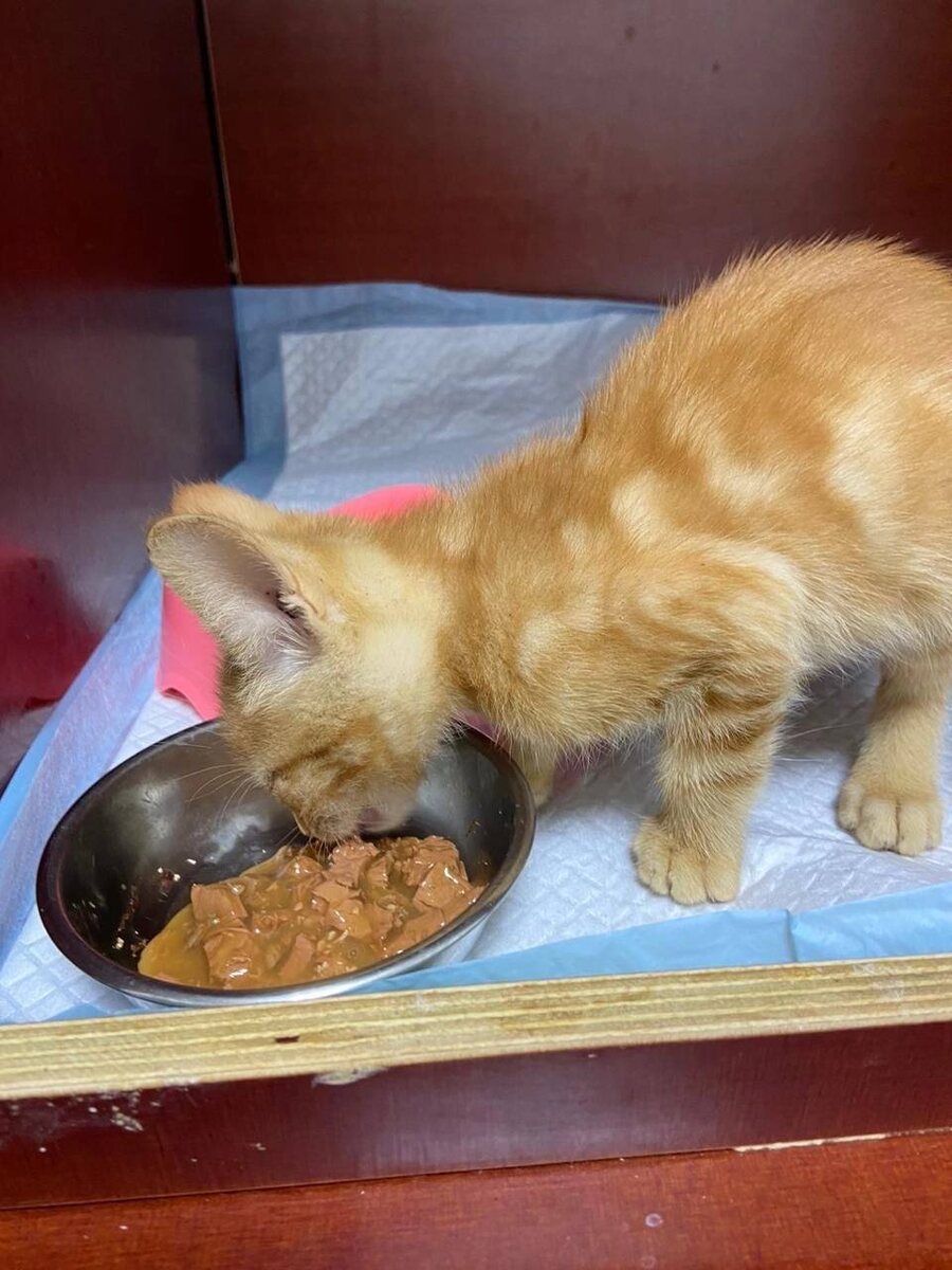 Фото из архива автора