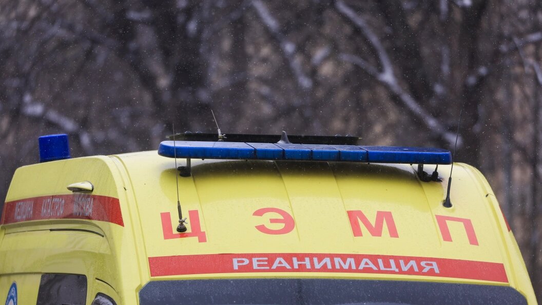    Shatokhina Natalia/news.ru/Globallookpress