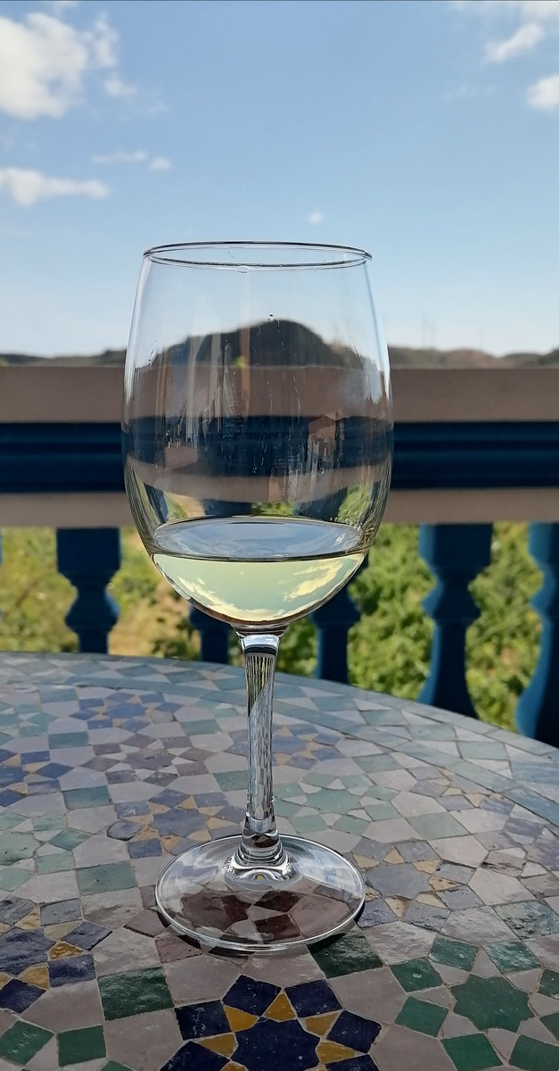 Дегустация вина на кинте