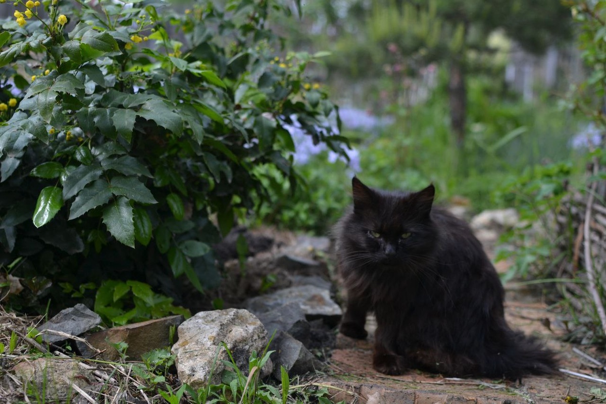 Ох, мама, бегу на помощь!