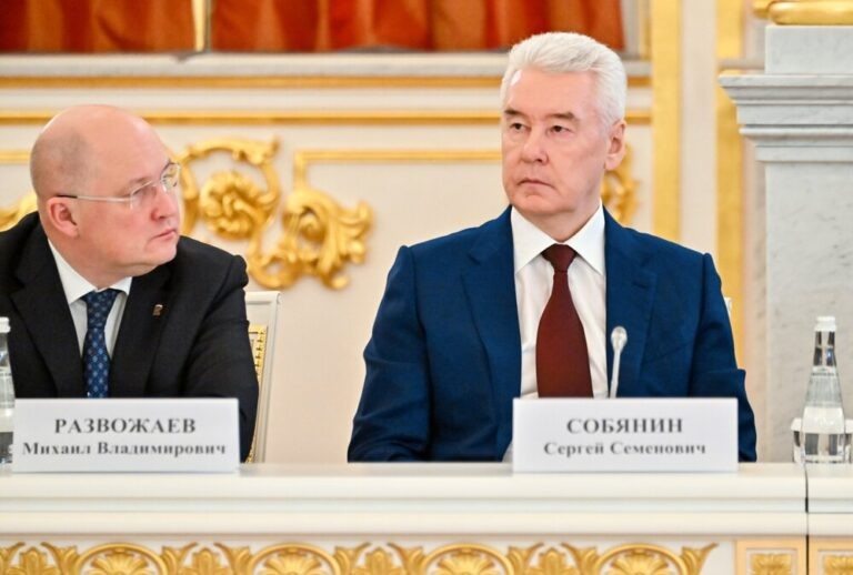    Фото: Максим Мишин, пресс-служба мэра и правительства Москвы/Агенство "Москва" Анфиса Слепцова