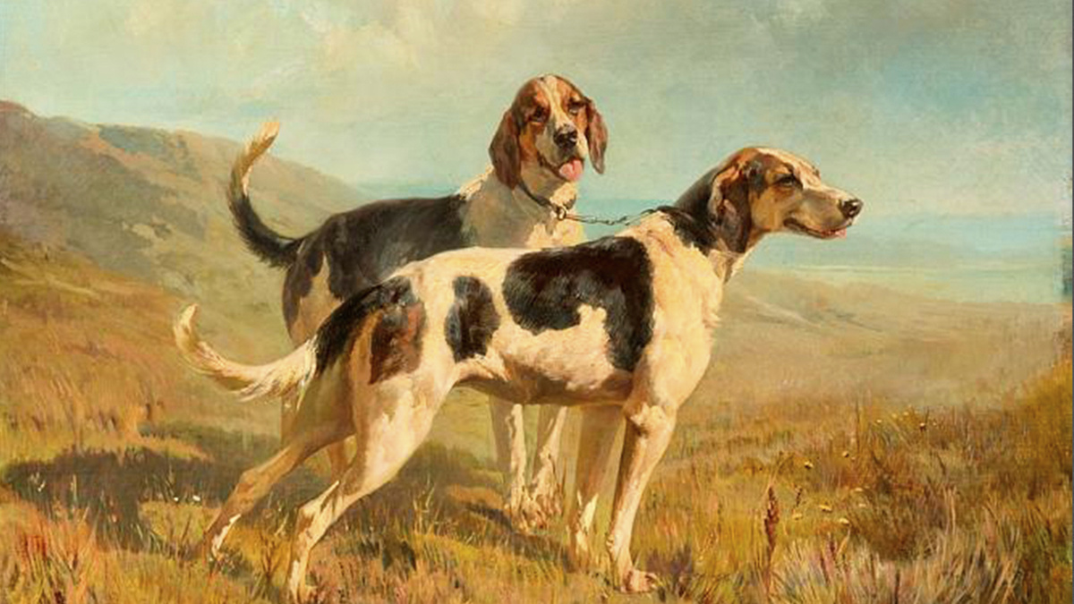 Рудольф Френц - Две гончие, 1870-е г. Источник: https://clck.ru/3MCfAi
