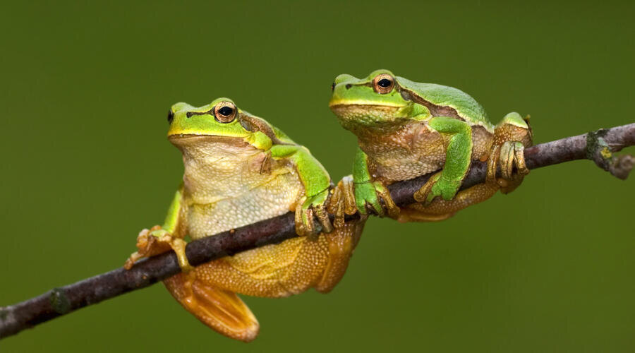     Фото: Depositphotos