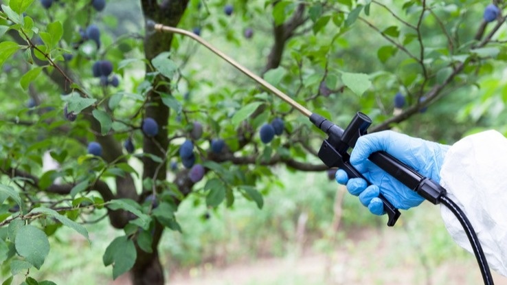 Точное соблюдение дозировки и температуры воды - основа эффективной защиты