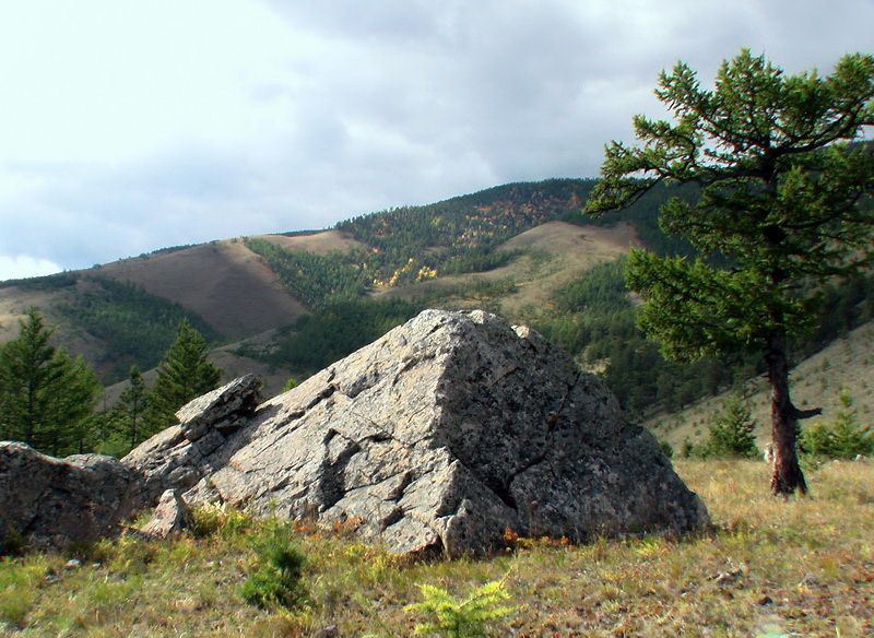 [caption id="attachment_152660" align="alignnone" width="800"] CREATOR: gd-jpeg v1.0 (using IJG JPEG v62), quality = 80[/caption]