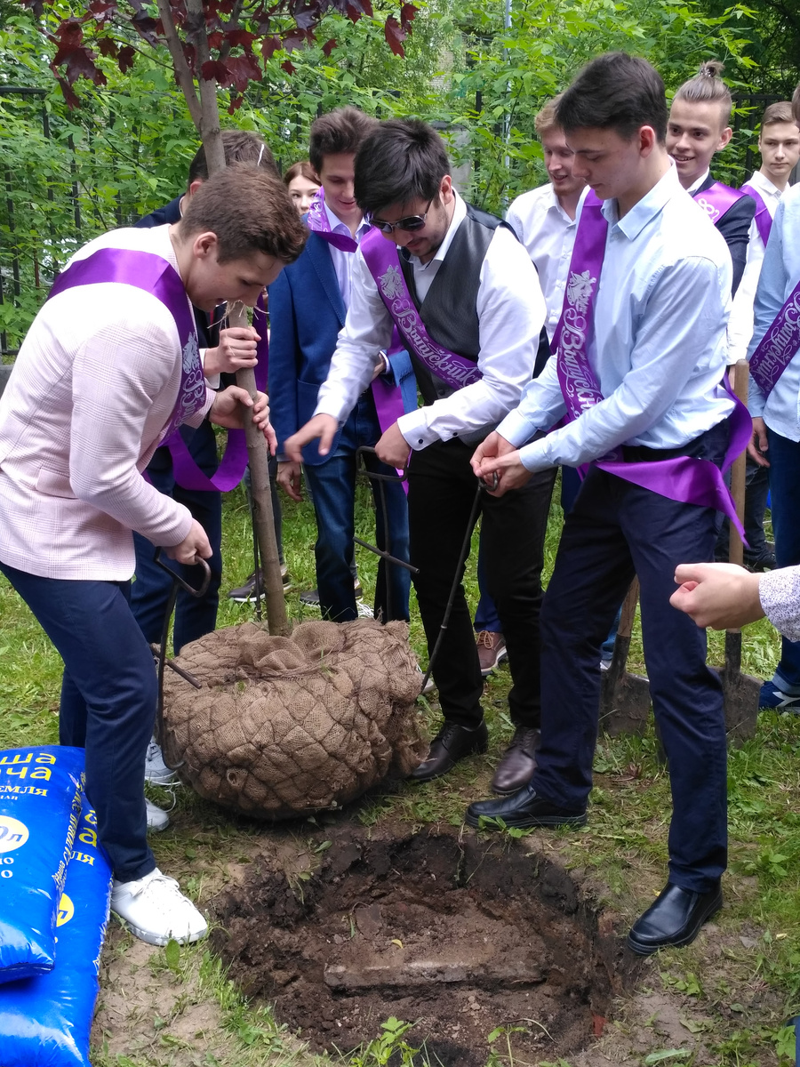 Тоже хорошая традиция - посадить дерево!