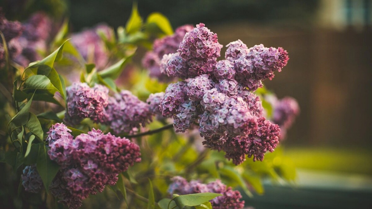     Источник: freepik.com