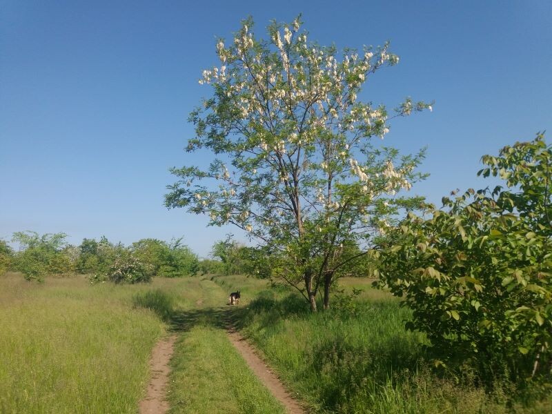 Фото автора