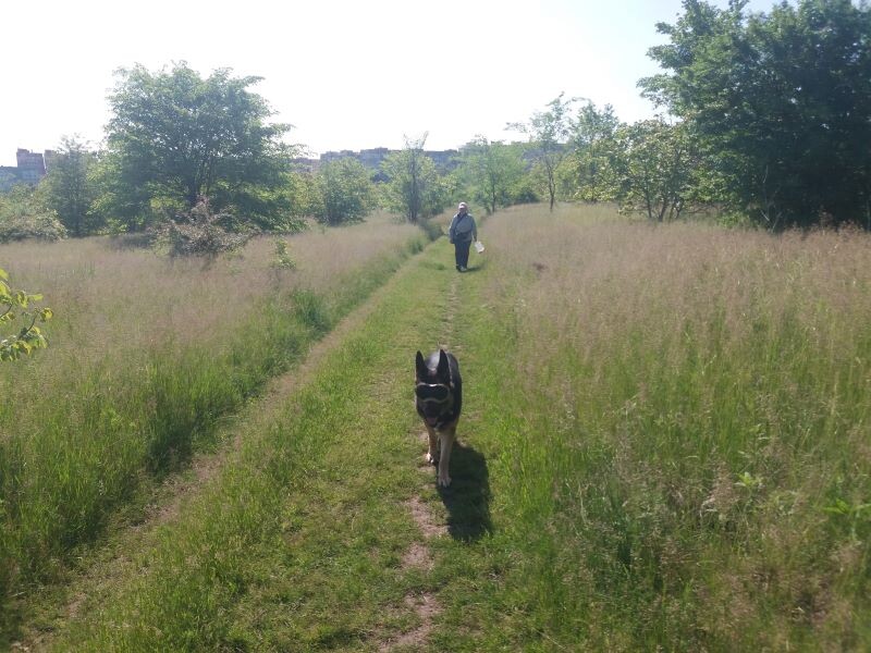 Фото автора