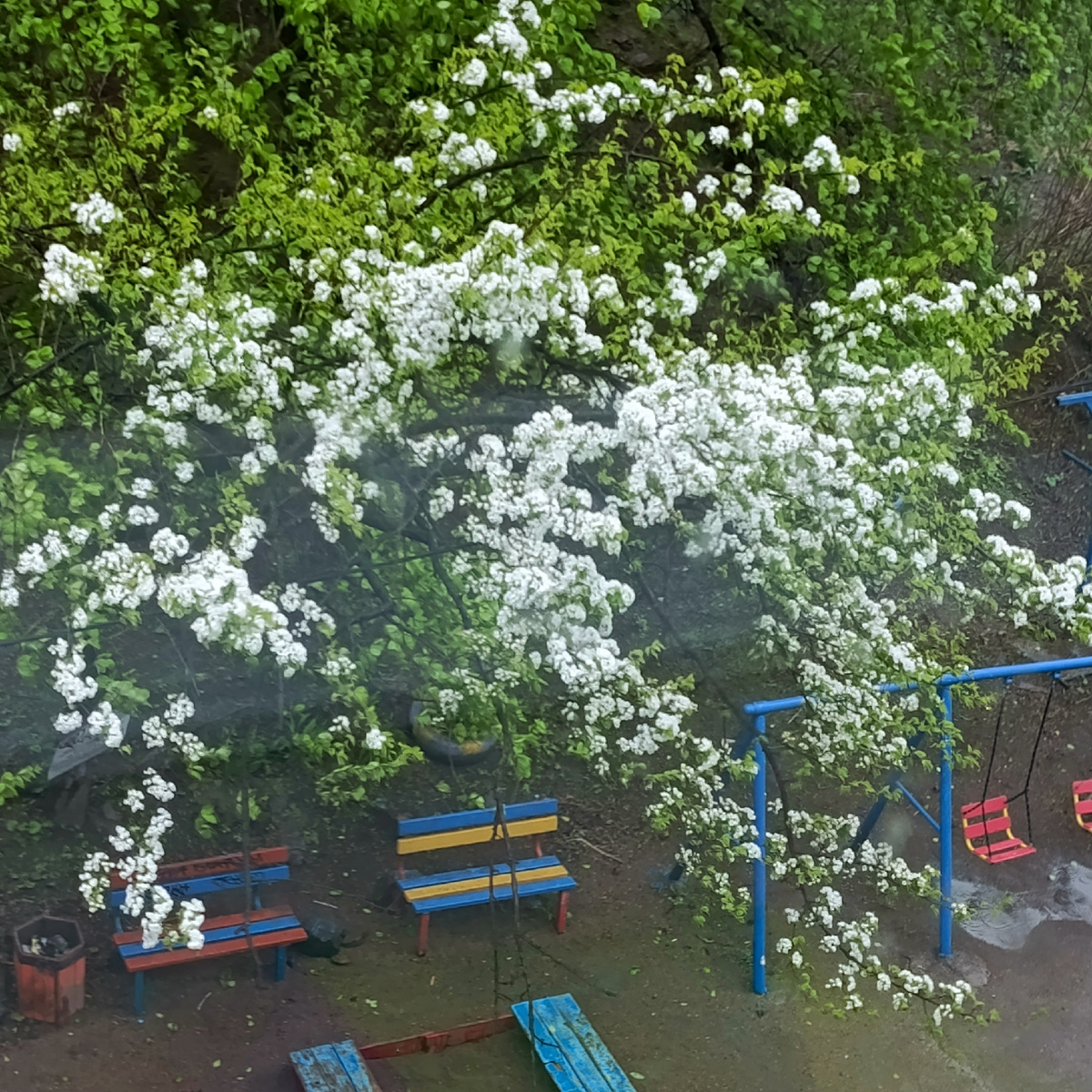 Вид из моего окна.