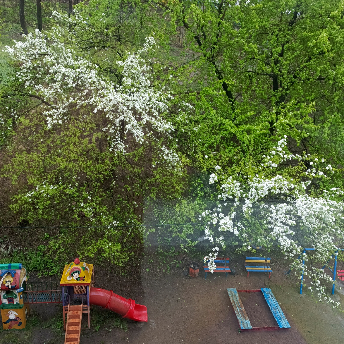 Вид из моего окна.