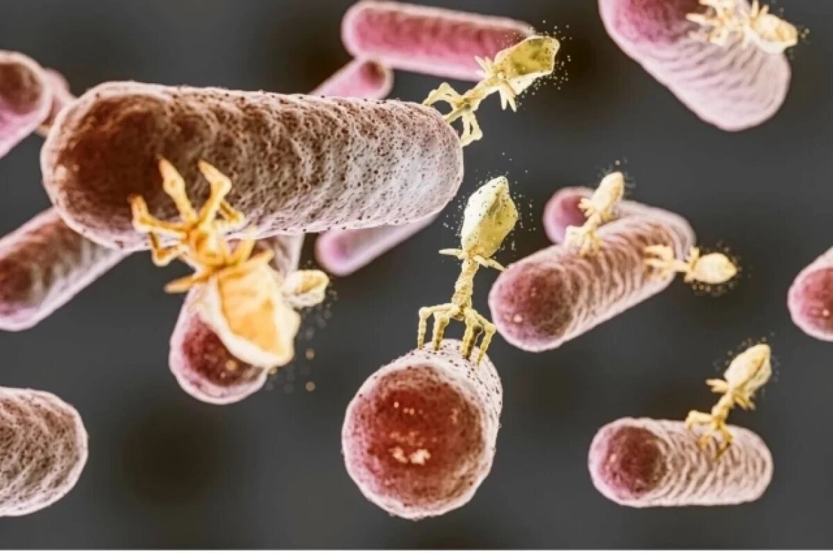    Хирург Аминов раскрыл главную причину появления паразитов в печени