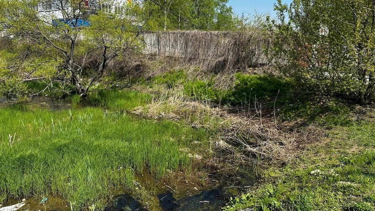     Источник: nakhodka-city.ru