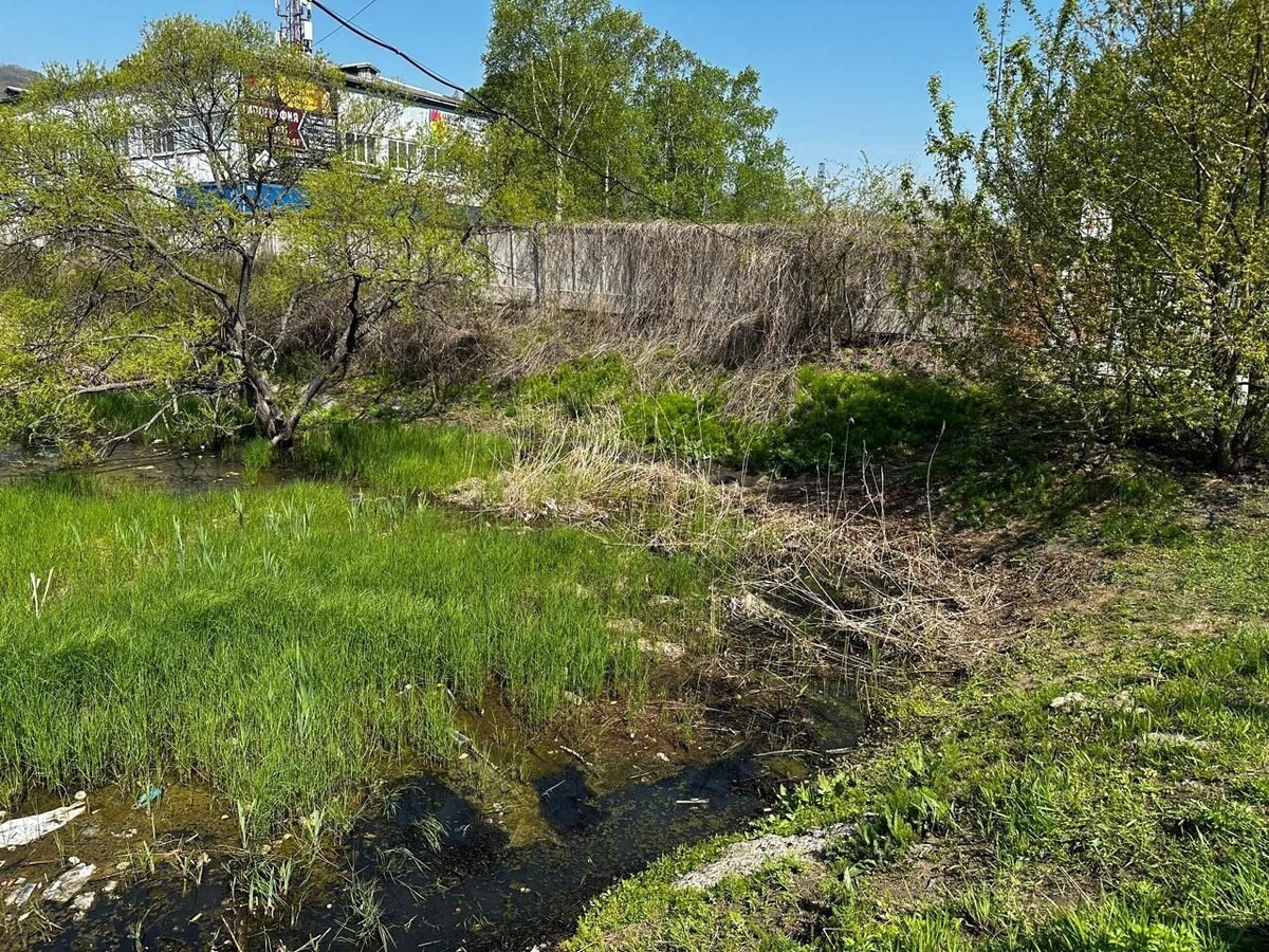     Источник: nakhodka-city.ru