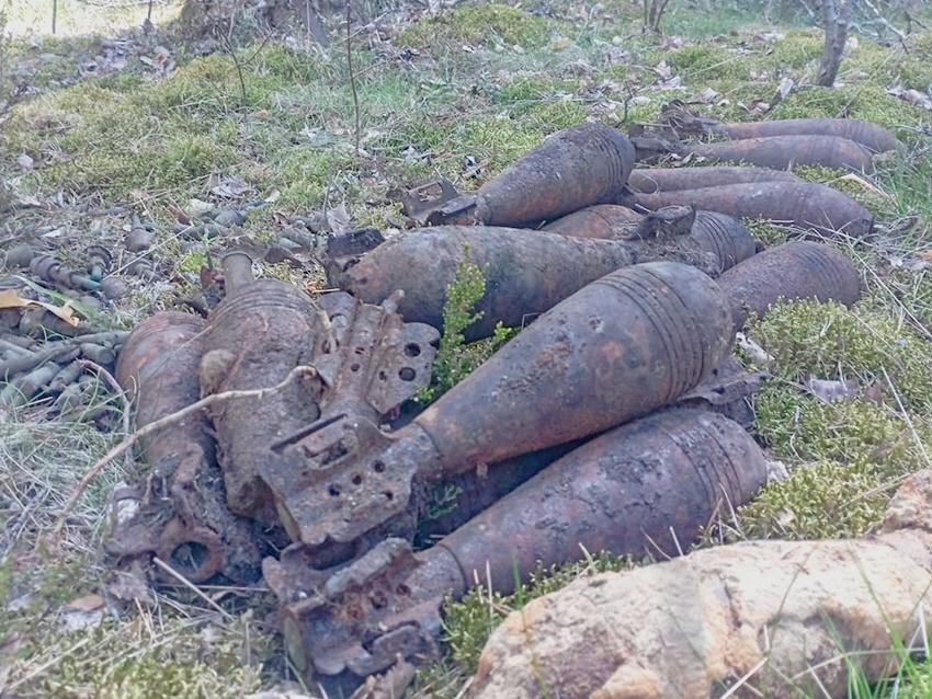    Фото: пресс-служба Нижне-Свирского государственного заповедника