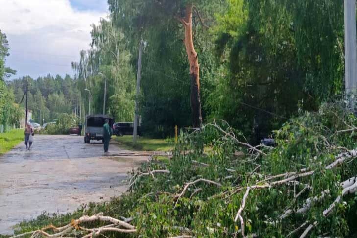    Фото из архива VN.ru