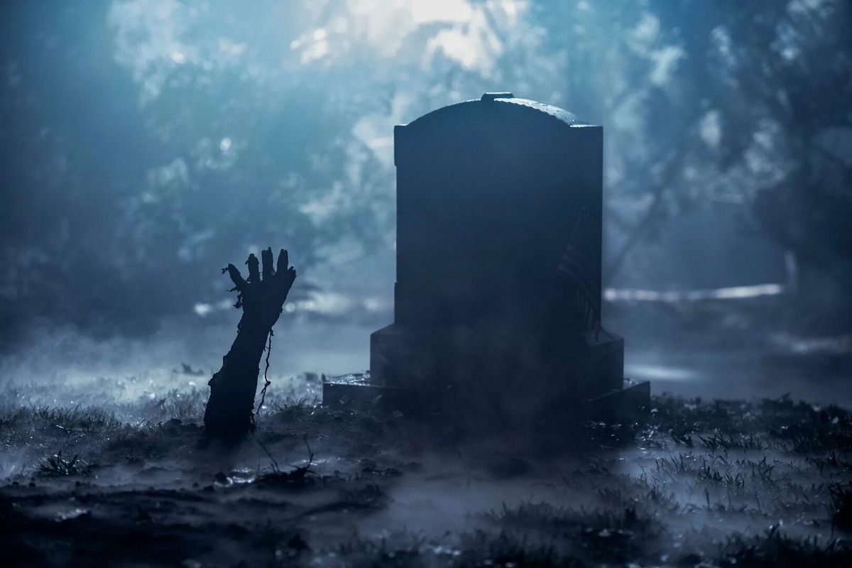 Изображение взято из открытых источников интернета. 